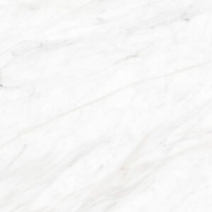 POLAR 1° 57,5 X 57,5