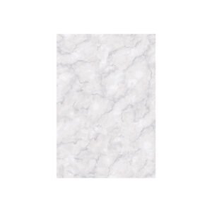 LEON GRIS 1RA 32 X 47