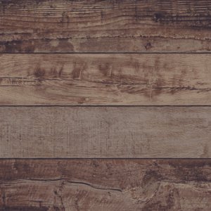 BOLOGNA BEIGE 1RA 50 X 50