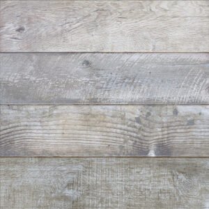 BOLOGNA GRIS 1RA 50 X 50