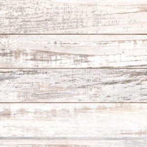 BOLOGNA TIZA 2DA 50 X 50